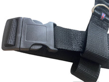 Load image into Gallery viewer, RIDGE, LARGE HARNESS