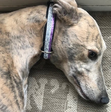 Load image into Gallery viewer, SHELBY - Glitter dog collar