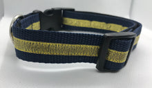 Load image into Gallery viewer, Gold and Blue dog collar