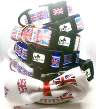 Load image into Gallery viewer, JUBILEE DOG COLLAR