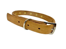 Load image into Gallery viewer, DUCHESS leather dog collar
