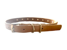 Load image into Gallery viewer, LEATHER COLLAR AND LEAD SET
