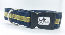 Load image into Gallery viewer, Gold and Blue dog collar
