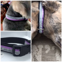 Load image into Gallery viewer, Glitter dog collar
