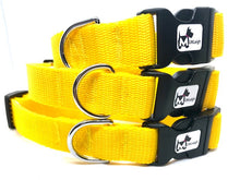 Load image into Gallery viewer, SUMMER FUN DOG COLLAR
