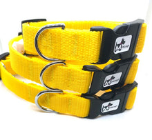 Load image into Gallery viewer, SUMMER FUN DOG COLLAR
