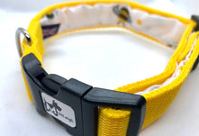 Load image into Gallery viewer, SUMMER FUN DOG COLLAR
