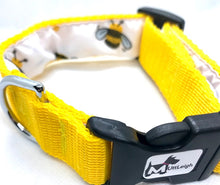 Load image into Gallery viewer, SUMMER FUN DOG COLLAR
