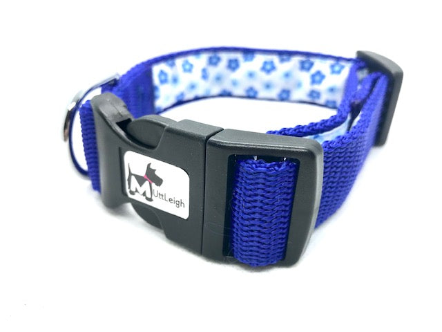 SUMMER FUN DOG COLLAR